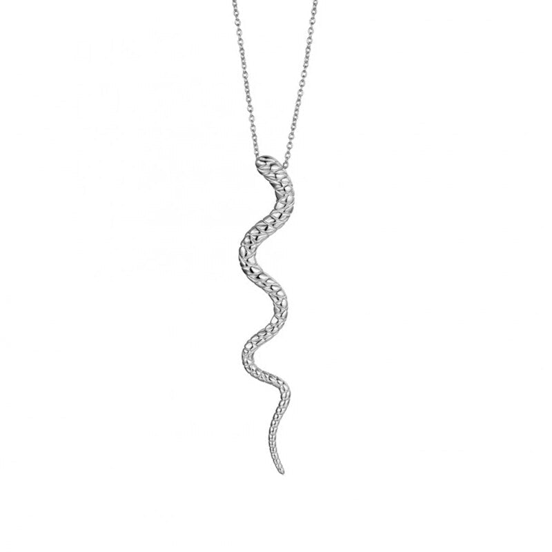 Collana con Ciondolo Argentata